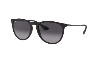 RayBan RB 4171 Erika 622-8G Unisex Güneş Gözlüğü